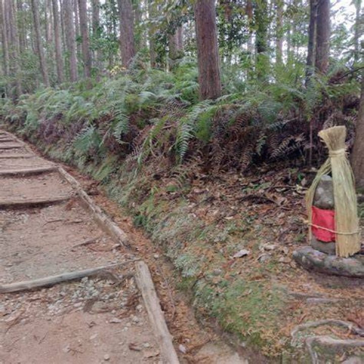 ビギナーズ和歌山完全ガイド｜初心者が楽しめる体験・観光・グルメ