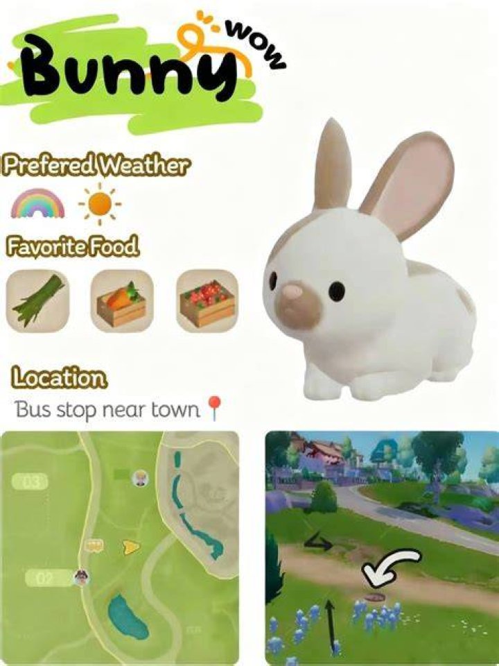 Bunny十三店とは？人気の理由と魅力を徹底解説