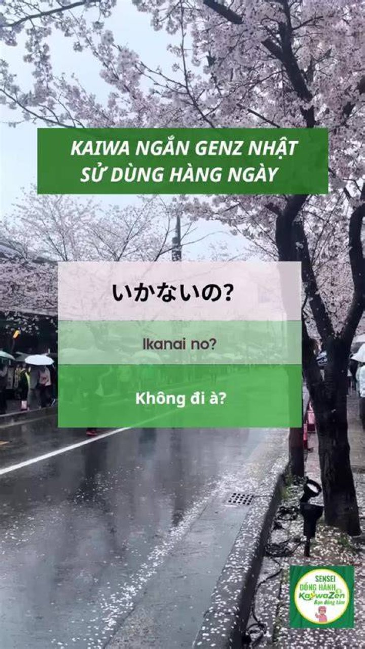 TikTokを見るだけで楽しめる？その魅力と注意点を徹底解説